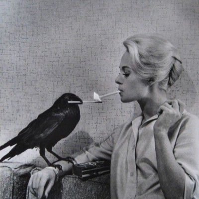 Claire263988621's profile picture. 