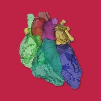 RitmoCardiacoSOMEEC (@rcsomeec) 's Twitter Profile