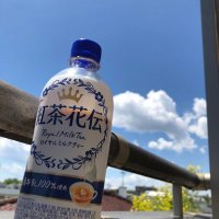 ダウフィボナッチ (@jv0vkygffbnrvm3) 's Twitter Profile