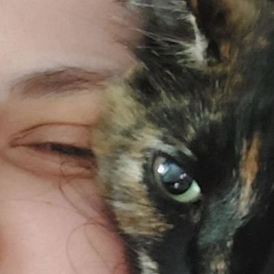 paulaadantas's profile picture. ★彡
💙💙💙💙