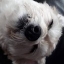 Kevin Deane - @KDeane90723 - Twitter