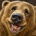 Papa Bear (@magicman2232) Twitter profile photo Papa Bear (@magicman2232) Twitter profile photo