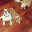 katie lorimer - @kat80852 - Twitter