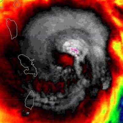 MeisterNeitz's profile picture. 