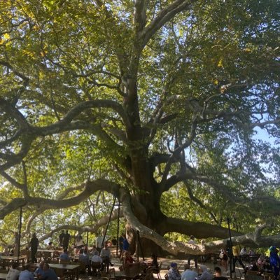 Volkan44660530's profile picture. 