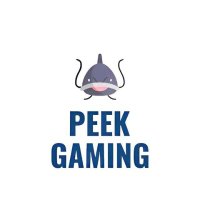 PEEK (@peekvlr) 's Twitter Profile Photo