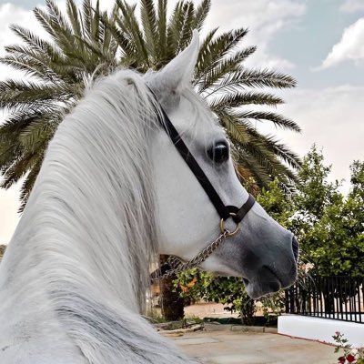 99bdoor1's profile picture. 