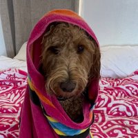 ChrisC (@chriscaincan) 's Twitter Profile