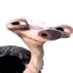 LitWitzz (@_witzarts_) Twitter profile photo LitWitzz (@_witzarts_) Twitter profile photo