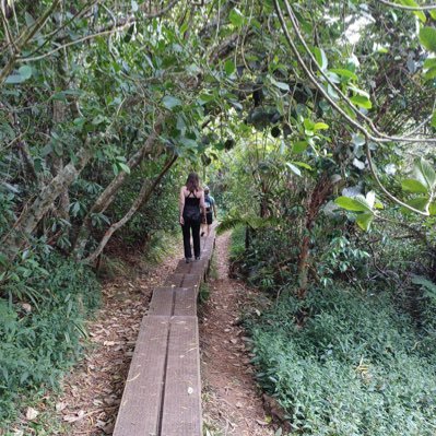 LiseJsn's profile picture. 