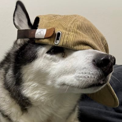 Frostiiac's profile picture. meowdy fellas