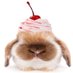ju bola gorda (@golddglittering) Twitter profile photo ju bola gorda (@golddglittering) Twitter profile photo