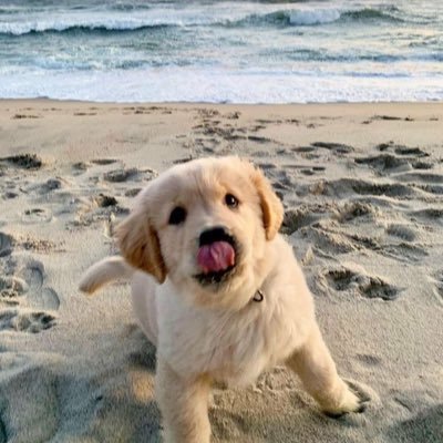 Edwiner2020's profile picture. 