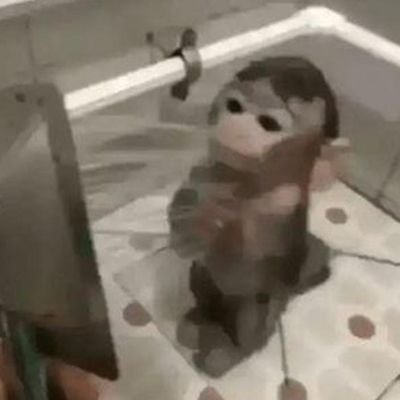 Atrocidades da minha timeline | Sigam a página, a outra caiu 💔