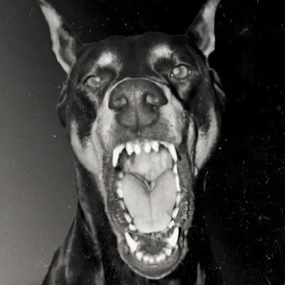 Kaczka7900's profile picture. 