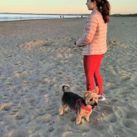 Anne Cunningham (@annecrecipes) 's Twitter Profile Photo Anne Cunningham (@annecrecipes) 's Twitter Profile Photo