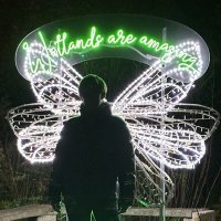 Clare Dinnis (@claredinniswwt) 's Twitter Profile