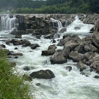 SHIN &H (@shinh49205171) 's Twitter Profile