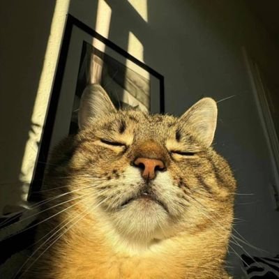 WiseIshaqd526's profile picture. 