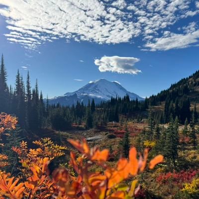 pjjiang007's profile picture. 