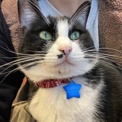 gu20241006 Profile Picture
