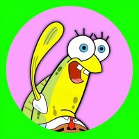 Memes_whatts591 (@whatts591) 's Twitter Profile
