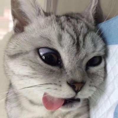 lulurusuh's profile picture. 