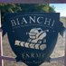 Jim Bianchi (@jimbianchi5) Twitter profile photo Jim Bianchi (@jimbianchi5) Twitter profile photo