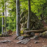 楓🎀＠ヨーロッパ⊂( *･ω･ )⊃ (@hiddegrego72389) Twitter profile photo