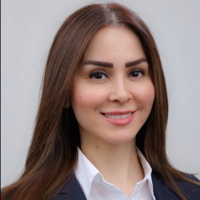 عضو مجلس النواب العراقي/ نائب رئيس لجنة حقوق الإنسان