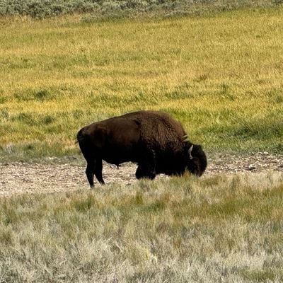 starburst____23's profile picture. Local, national, and international news, politics, and policy are what I follow.