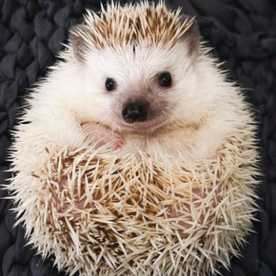 kvrjwrmar's profile picture. 