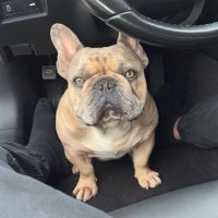 TakeYoLz (@cryptofoolz) 's Twitter Profile