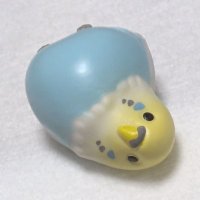 きゃららいだー (@cararider) 's Twitter Profile Photo