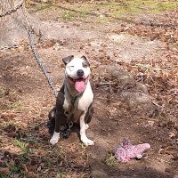 GBlock64 (@mrbridges7414) Twitter profile photo