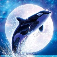 不満マン (@panicman6635kw) 's Twitter Profile Photo