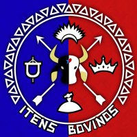 Itens Bovinos 🏹⭐️❤️ (@itensbovinos) 's Twitter Profile
