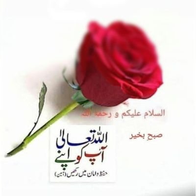 m_munir786988's profile picture. uservoise. Com