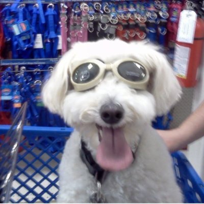 SSDGLS's profile picture. Southern SC Native. Wife, Mother, Homemaker.