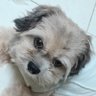 ephiechingu's profile picture. 💜💎🐻🐰🐶🐱🐥🥕👖⚔
GODJEANS 9/5 MOA ARENA
에프엑스 + NJZ (fka뉴진스)
MHDHH

온세뉴