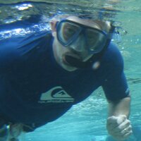 Steve Palumbi (@spalumbi) 's Twitter Profile