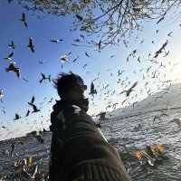 Avalon的野比大雄 (@avalon40652981) 's Twitter Profile