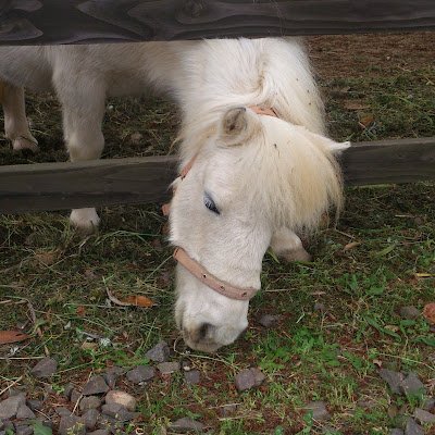 k7dFGId2sE89093's profile picture. 