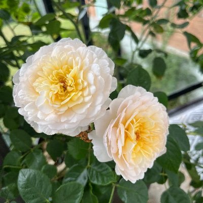 Claire_Rawles's profile picture. I’ll be over on LinkedIn.