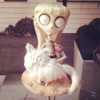 jo (@m3tal0v3) 's Twitter Profile