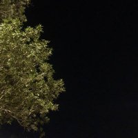 ♡. (@2raini) 's Twitter Profile