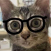 DirtyKat (@dirtykkat) Twitter profile photo DirtyKat (@dirtykkat) Twitter profile photo