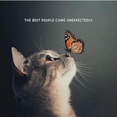 happyvibestobe's profile picture. A curious and optimistic learner — I love breaking things down, exploring them deeply, and always being there to support others along the way