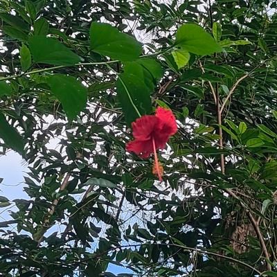 dngfngy9999's profile picture. 