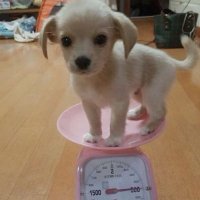 대밥이 (@ddaebaby) 's Twitter Profile